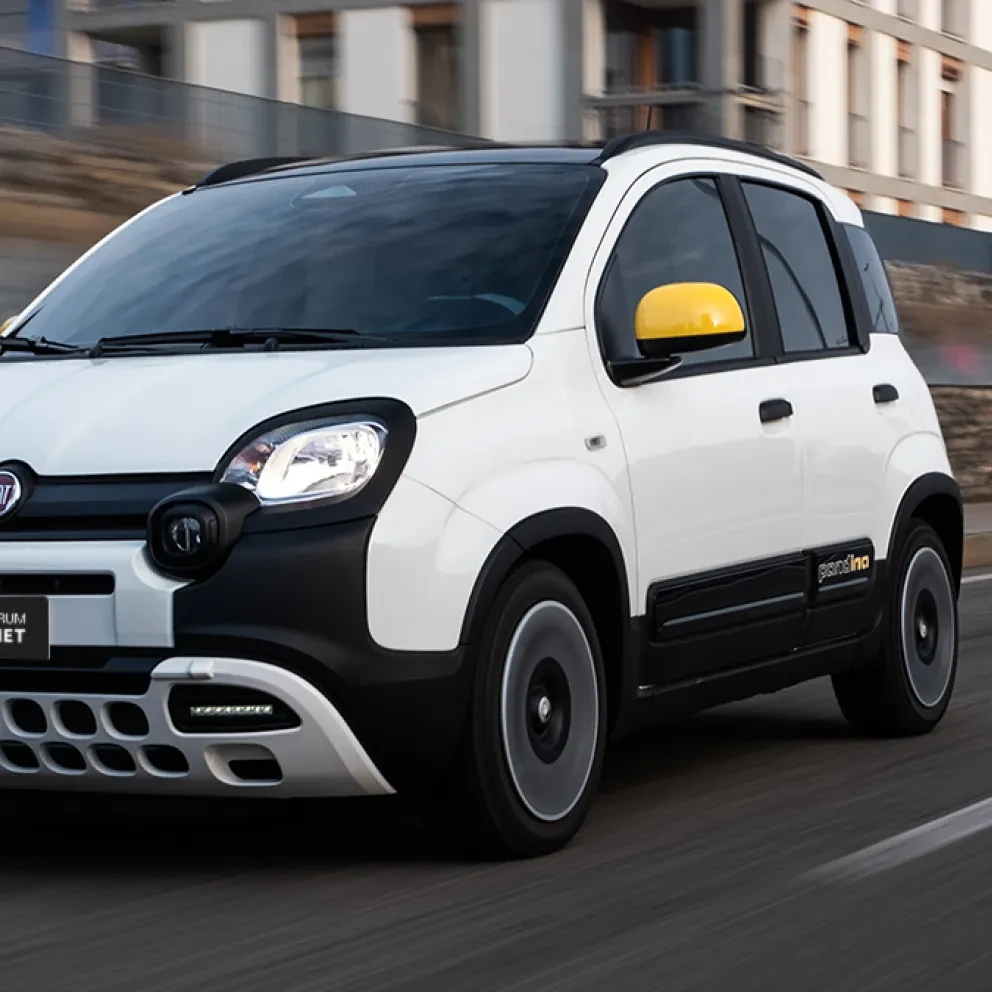 Fiat Pandina